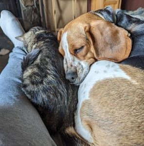 Meet your Posher, Robert